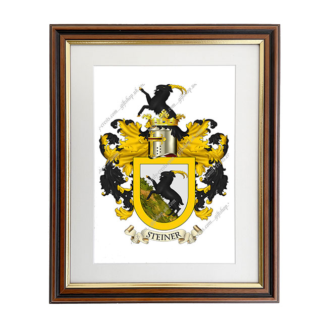 Steiner (Swiss) Coat of Arms Framed Print