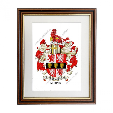 Murphy (Ireland) Coat of Arms Framed Print