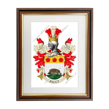 Ricci (Italy) Coat of Arms Framed Print