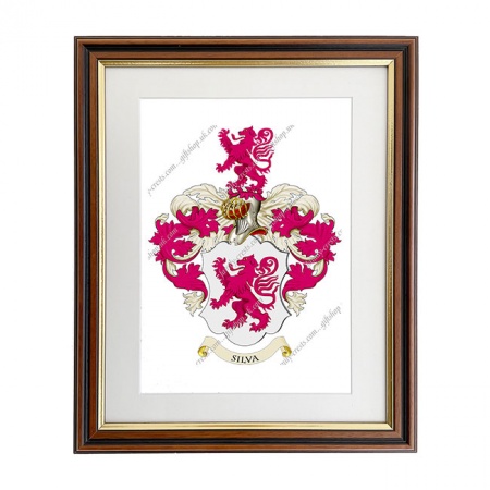 Silva (Portugal) Coat of Arms Framed Print