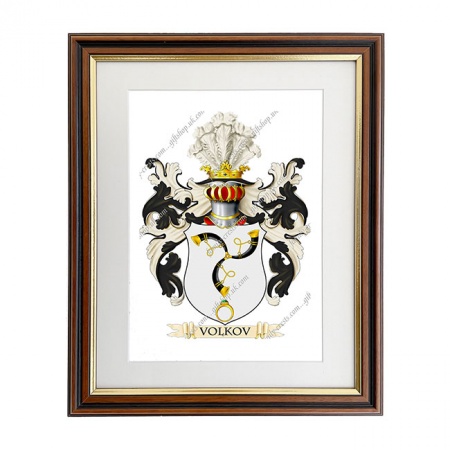 Volkov (Russia) Coat of Arms Framed Print
